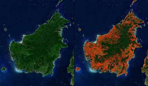 Deforestation - Soil Erosion, Biodiversity Loss, Climate Change | Britannica