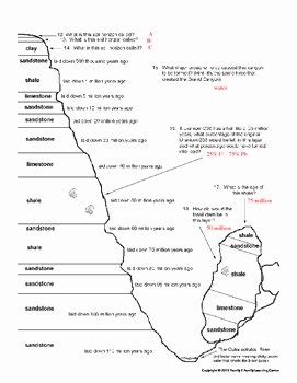 50 Relative Dating Worksheet Answer Key