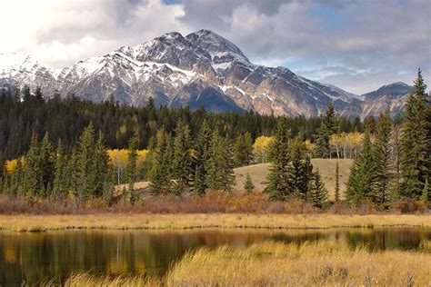 Canadian Rockies Wildlife | Natures's Pic's Online