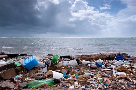 River Pollution major contributor of plastic waste to oceans