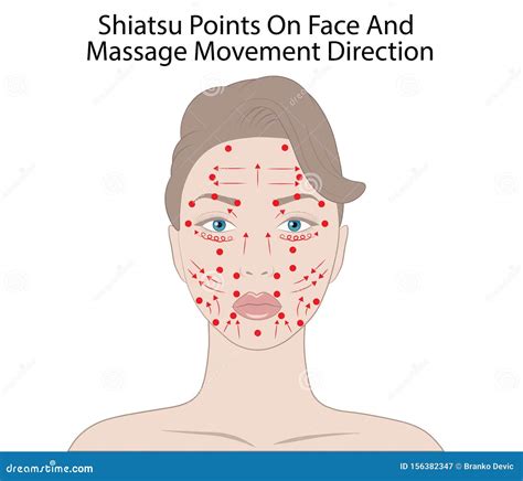 Shiatsu Massage. Face Points Cartoon Vector | CartoonDealer.com #69886661