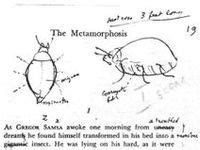 22 Gregor Samsa ideas | gregor samsa, metamorphosis, metamorphosis art