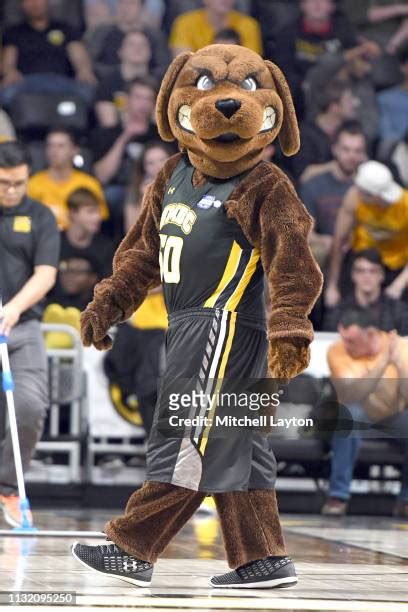 Umbc Mascot Photos and Premium High Res Pictures - Getty Images