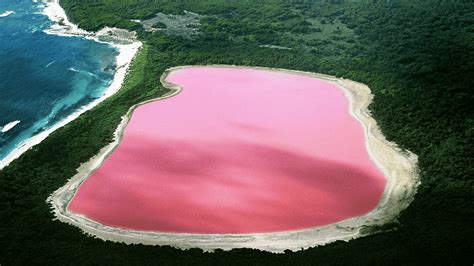 This Lake In Australia Is Pink. Here's Why