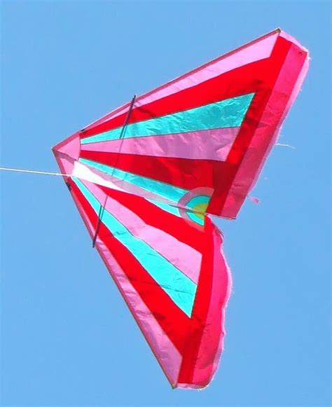 Delta kite made of surf sail, Wibo's Kites | Vlieger