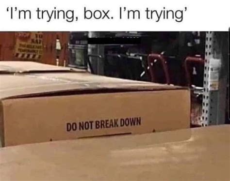 I'm trying box, I'm trying! | /r/wholesomememes | Wholesome Memes ...