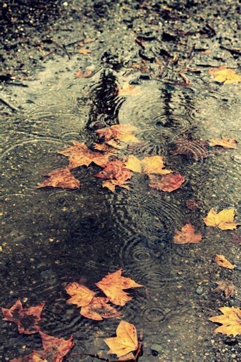 Pin by Becky on Autumn Rain in 2020 | Autumn rain, Autumn aesthetic photography, Autumn aesthetic