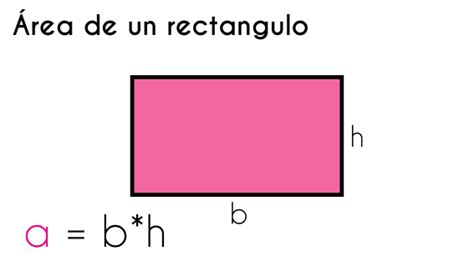 Área de un rectángulo (con Ejemplos) | Fhybea