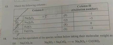 13. Match the following columns : Column-II Column-1 (Oxidation number) (Oxida -1 (A) (P) Na S ...