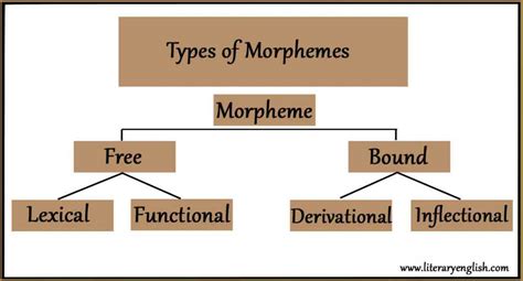 Types of Morphemes | Free vs Bound Morphemes - Literary English