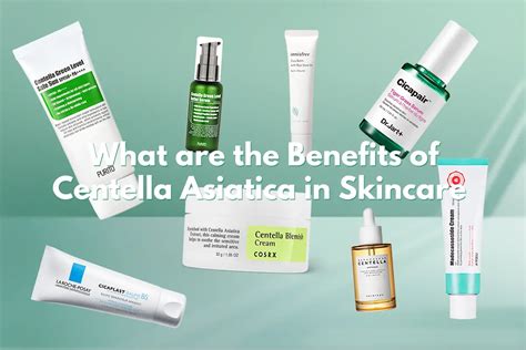 Centella Asiatica (Cica) Benefits in Skincare - Kbeauty Notes