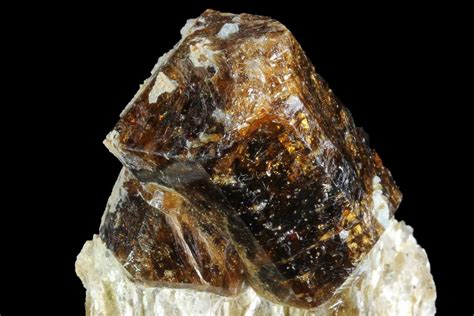 Brown Dravite Tourmaline Crystal Cluster in Mica - Australia (#96309) For Sale - FossilEra.com