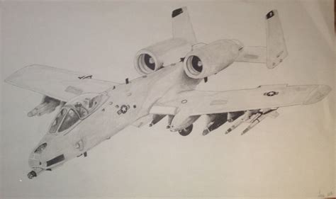 A 10 Warthog Drawing - Drawing.rjuuc.edu.np