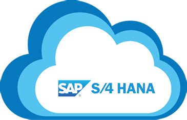 S/4HANA Cloud | SAP S/4HANA Cloud Services - Accely.com