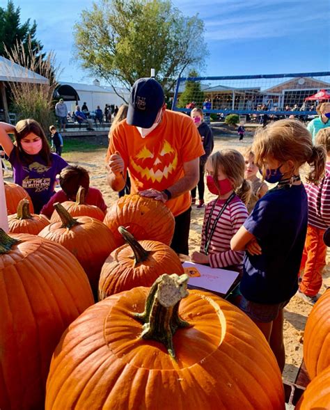 World’s Fastest Pumpkin Carver Shatters Guinness World Record For Speed Carving A Single Pumpkin ...