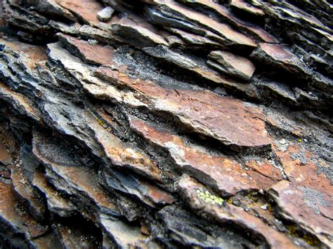 How to Tell the Difference Between Shale and Slate | Sciencing