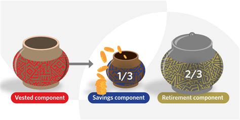 Two pot retirement system | Withdrawals, Fees, Tax Implications | Momentum