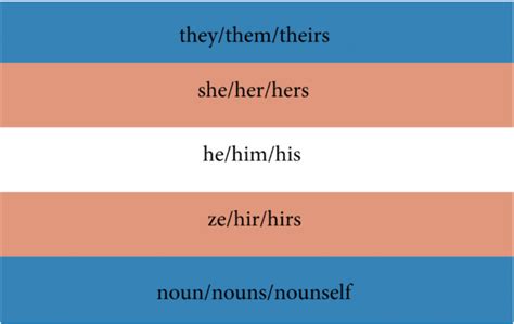 Pronouns: What They Are and Why They’re Important – Lions' Digest