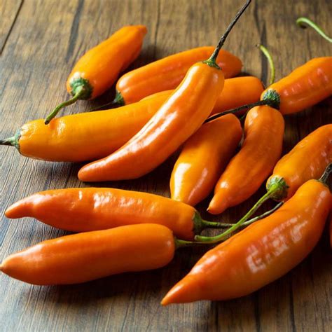 Semillas de chile Aji Amarillo - Precio €2.15