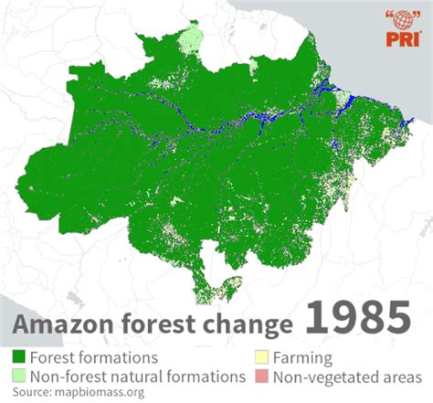 Maps on the Web in 2022 | Amazon deforestation, Amazon forest, Map