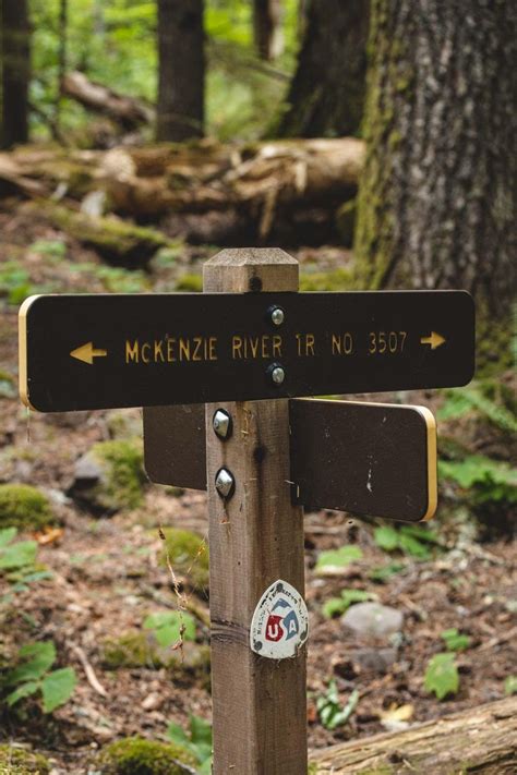 Your Guide To Hiking The McKenzie River Trail - Oregon is for Adventure