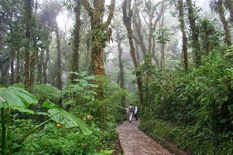 Santa Elena Cloud Forest Reserve - Casa Batsu Charming BnB in Monteverde