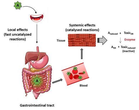 Mechanism Of Action Of Antioxidants