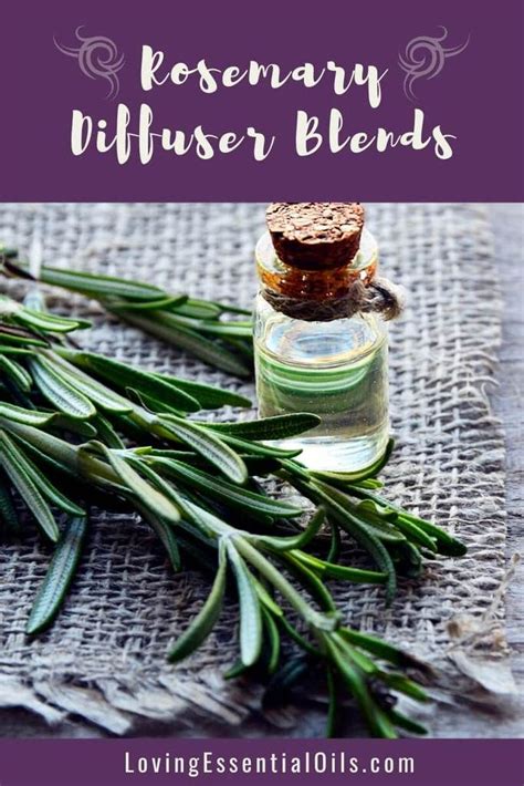 Rosemary Diffuser Blends - Boost Focus & Memory | Recipe | Diffuser ...