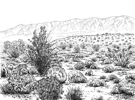 Desert Scrub Ecosystem Drawing by Logan Parsons - Pixels