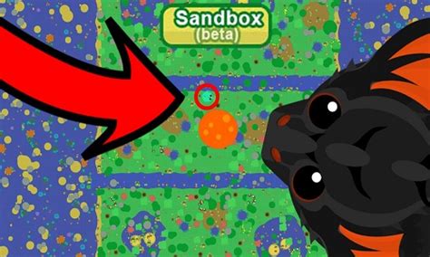 Mope.io Sandbox 2020 Edition - Mope.io Unblocked Guide