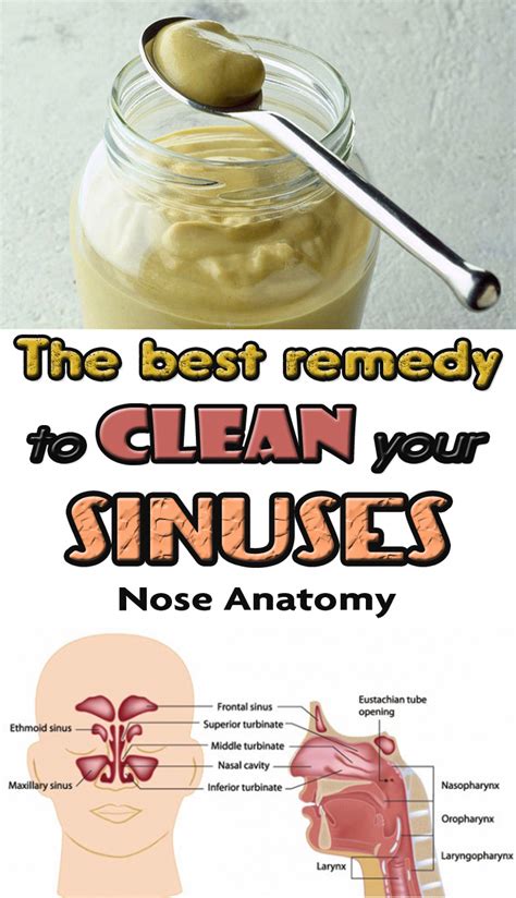 The best remedy to clean your sinuses - BeautyHealther.org #HealthAdviceTips | Sinusitis ...