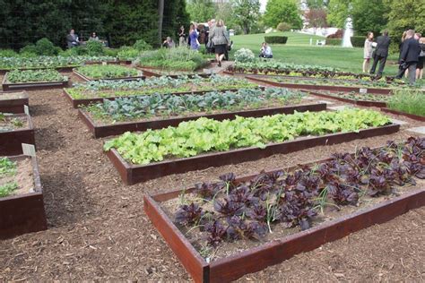 White House kitchen garden used to promote nutrition, tackle obesity - Manitoba Co-operator