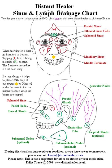 The Distant Healer Sinus and Lymph Drainage Chart. Click this image to ...