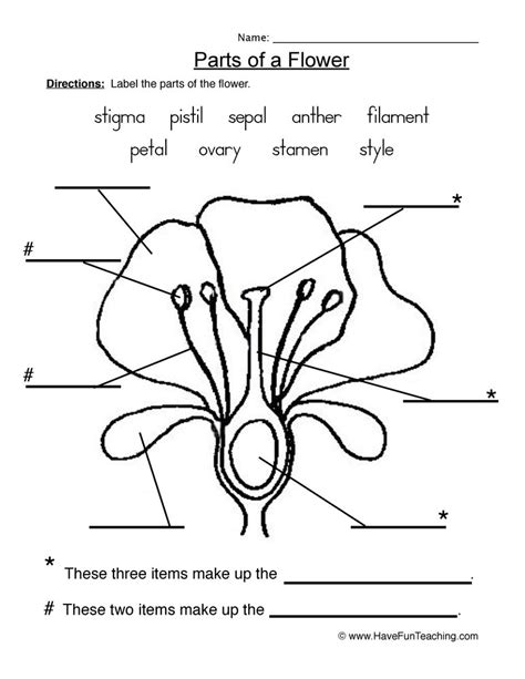 Plants Worksheets - Have Fun Teaching | Plants worksheets, Parts of a ...