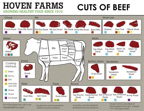 Beef Cuts Chart Printable - Printable Word Searches