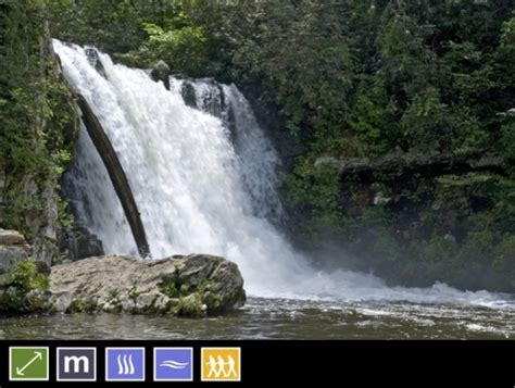 Abrams Falls Trail | Cades Cove | Abrams Falls Day Hike