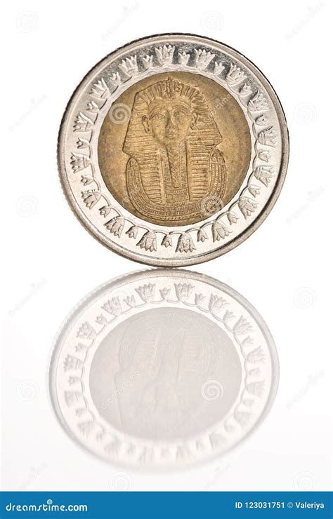 One Egyptian pound coin. stock image. Image of arab - 123031751