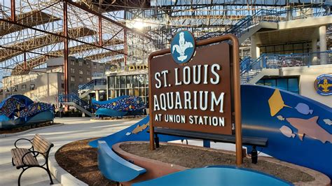 St. Louis Aquarium and St. Louis Wheel Re-Opening Today!!! - St. Louis Dad