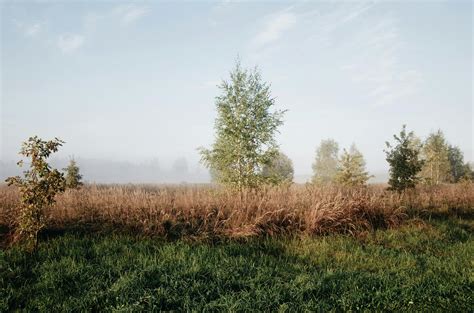 Agricultural fields and trees in countryside · Free Stock Photo