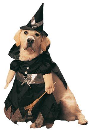 Halloween Witch Costumes for Dogs