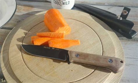 Best Camping and Backpacking Knives: Expert Advice for 2024 - Cool of the Wild