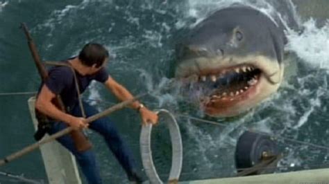 Jaws 1975 Wallpaper