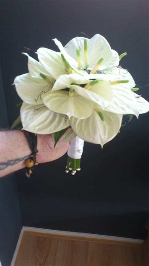 Anthurium bouquet | Hand bouquet wedding, Flower bouquet wedding, Small wedding bouquets