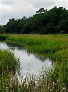 70 Lowcountry marshes ideas | landscape paintings, landscape art ...