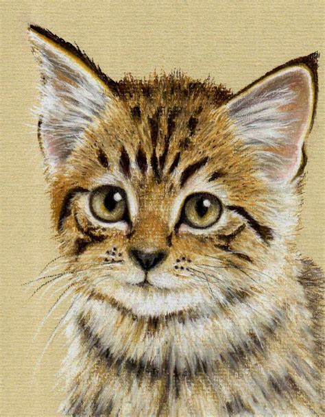 kitten using pastel pencils | Kitten drawing, Animal drawings, Pastel pencils