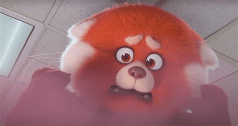 Pixar's Turning Red: Panda Trailer, Release Date, Diabetes Character, More