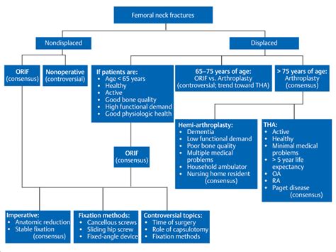 33 Femoral Neck and Head Fractures | Musculoskeletal Key