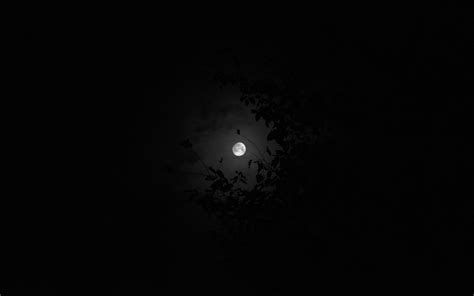 Full moon, Moon, night, sky HD wallpaper | Wallpaper Flare