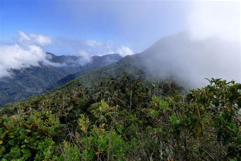 Sierra Nevada de Santa Marta Park & Reserve (Colombia) | LAC Geo