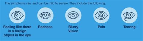 Contact Lens Fitting Vs. Eye Exam (2022 Ultimate Guide)